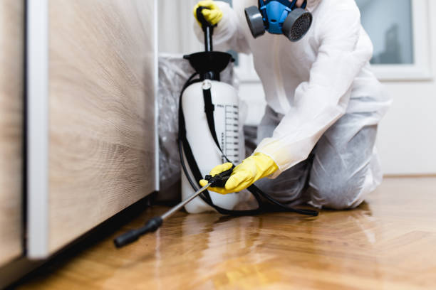 Best Mosquito Control Services  in Ishpeng, MI
