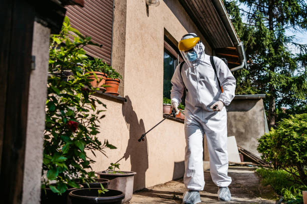 Best Pest Prevention Services  in Ishpeng, MI