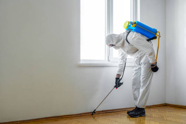 Best Local Pest Control Services  in Ishpeng, MI