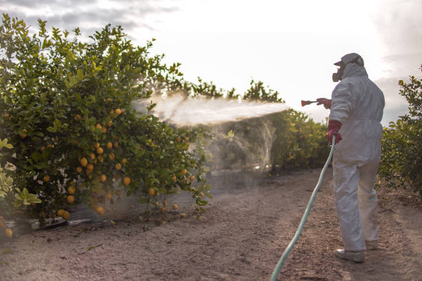 Best Cockroach Control Services  in Ishpeng, MI