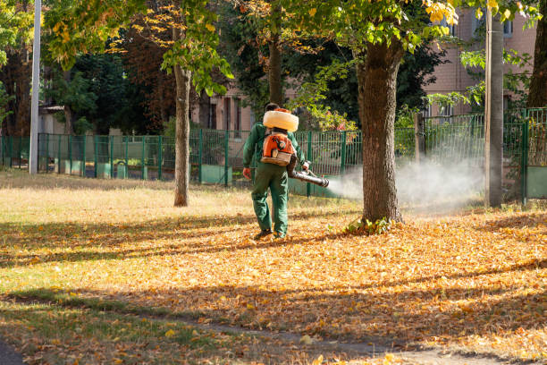 Best Residential Pest Control  in Ishpeng, MI